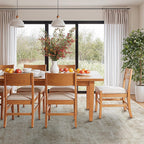 Area Rug for Living Room Machine Washable Low