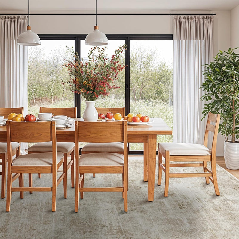Area Rug for Living Room Machine Washable Low