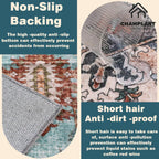 Area Rug Washable Vintage Traditional Distressed Thin