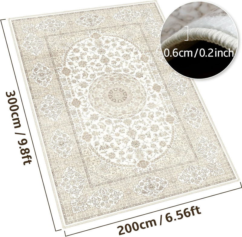 Area Rugs Carpet for Living Room Bedroom