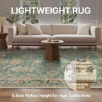 Area Rugs for Bedroom Vintage Boho Carpets