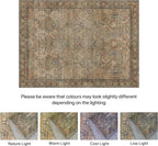 Area Rugs for Bedroom Vintage Boho Carpets