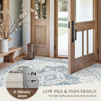 Area Rugs for Bedroom Vintage Boho Carpets