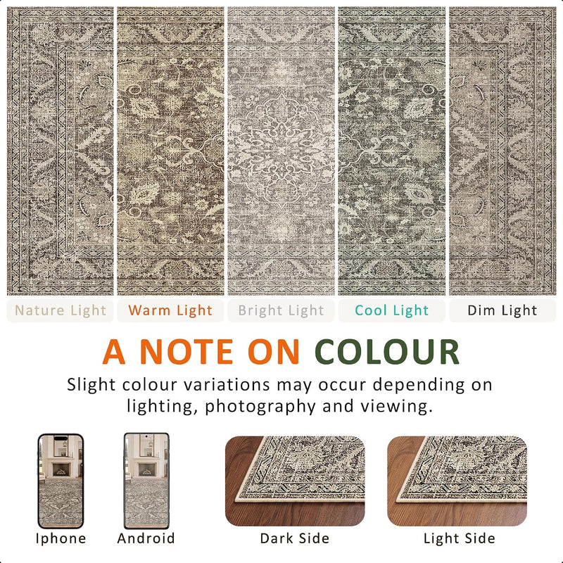 Area Rugs for Living Room