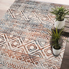 Area Rugs for Living Room Bedroom Kitchen Dining