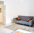 Area Rugs for Living Room Bedroom Kitchen Dining