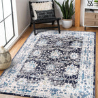 Area Rugs for Living Room Bedroom Kitchen Dining