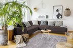 Area Rugs for Living Room Bedroom Kitchen Dining