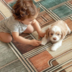 Area Rugs for Living Room Kitchen Carpet