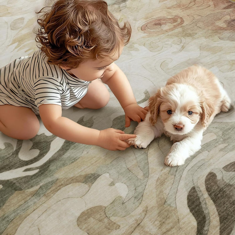Area Rugs for Living Room Kitchen Carpet