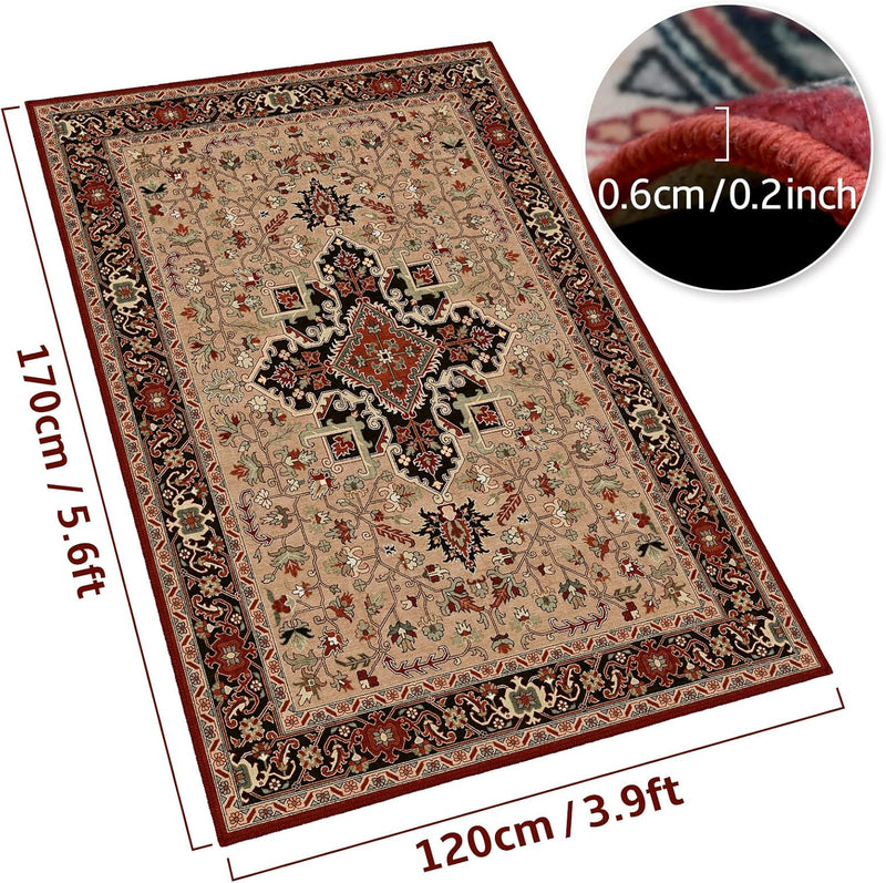 Area Rugs for Living Room Kitchen Carpet