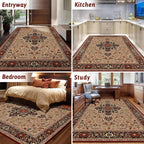 Area Rugs for Living Room Kitchen Carpet