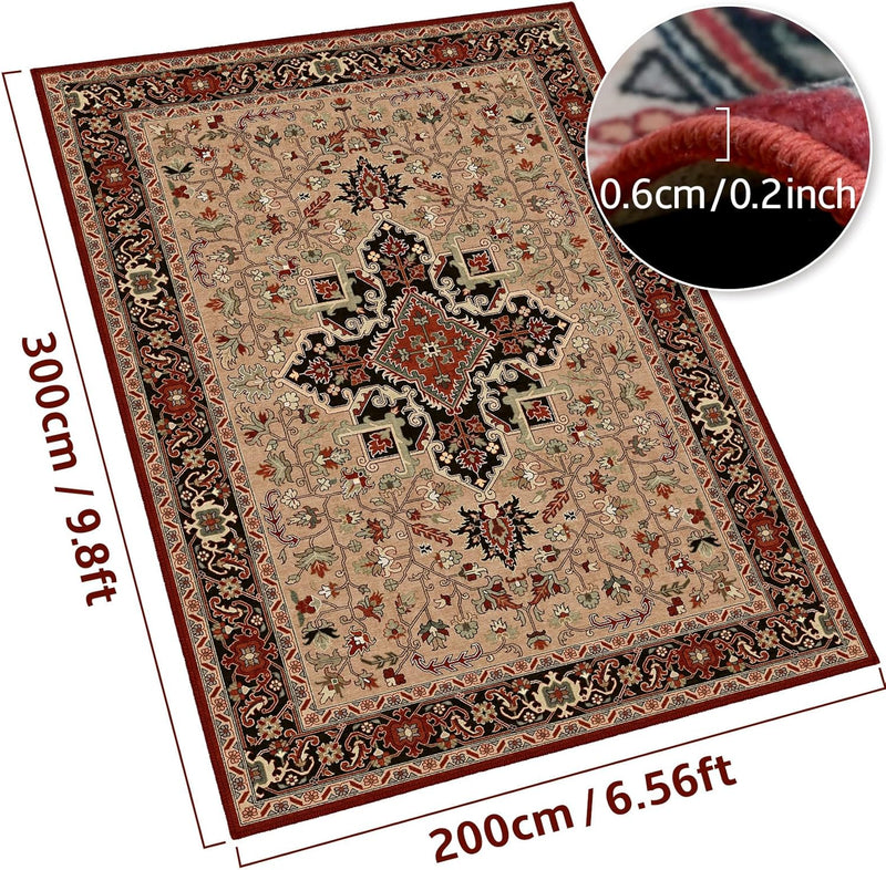 Area Rugs for Living Room Kitchen Carpet