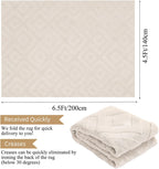 Area Rugs for Living Room Washable Soft Neutral