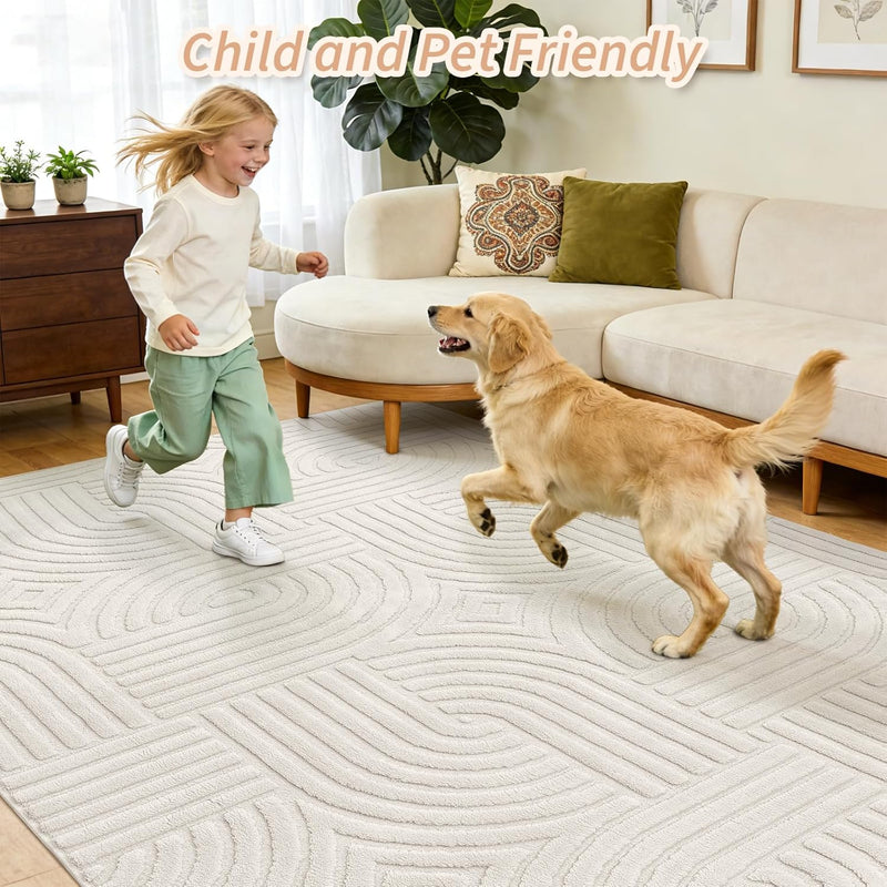 Area Rugs for Living Room Washable Soft Neutral