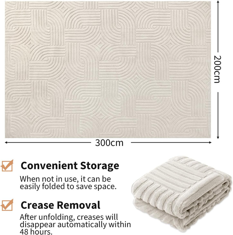 Area Rugs for Living Room Washable Soft Neutral