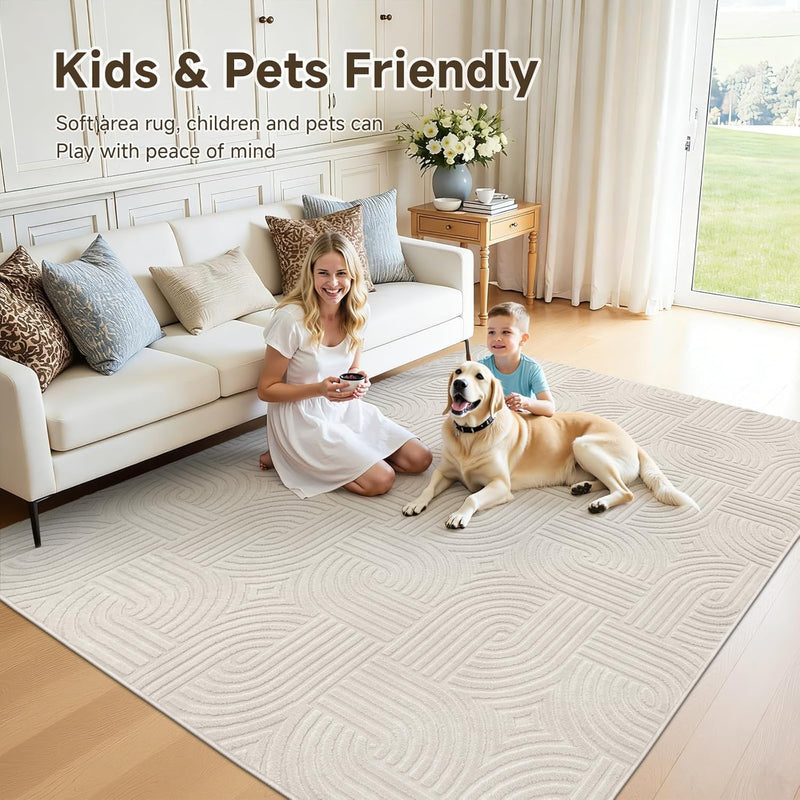 Area Rugs for Living Room Washable Soft Neutral