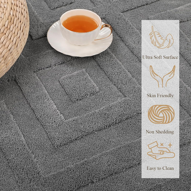 Area Rugs for Living Room Washable Soft Neutral