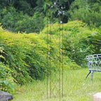Autumn Leaf Trellis 5'