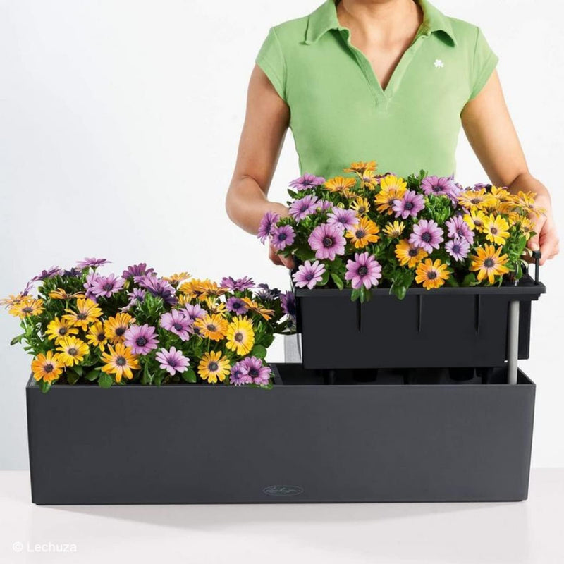 Self Watering Plant Pots Balconera Colour 2 X (2 Pack)