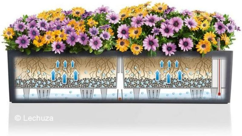 Self Watering Plant Pots Balconera Colour 2 X (2 Pack)