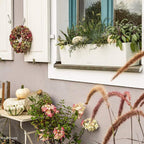 Self Watering Plant Pots Balconera Colour 2 X (2 Pack)