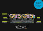 Balconera Colour 80 Self Watering Planter Plastic (Set of 2)