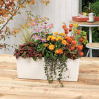 Balconera Colour 80 Self Watering Planter Plastic (Set of 2)