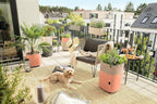 Self Watering Plant Pots Balconera Colour 2 X (2 Pack)