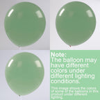 Balloon Arch Kit 113 Pcs Balloons with Bluey