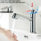 Bathroom Tap Washbasin with Pull-Out Shower Head 2