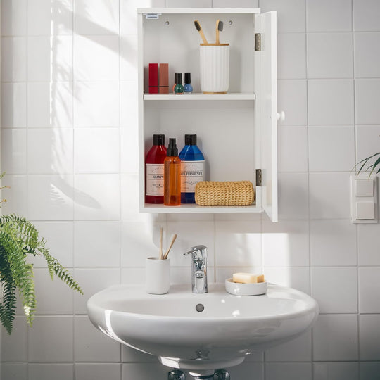 Bathroom Wall Cabinet with Door 2 Adjustable Shelves