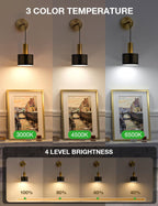 Battery Operated Wall Sconces Lights