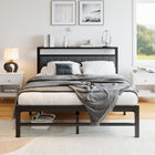 Black/Dark Gray