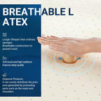 Bed Mattress Conventional Latex Foam