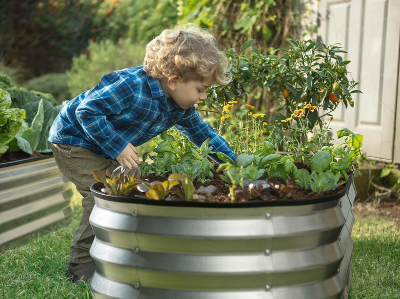 Bed Metal Beds for Garden Made of Galvanised