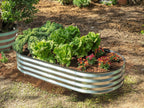 Bed Metal Beds for Garden Made of Galvanised