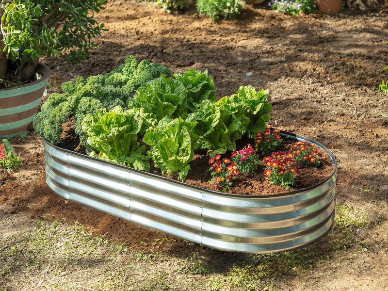 Bed Metal Beds for Garden Made of Galvanised