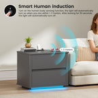 Bedside Table with 2 Drawers and LED Lights