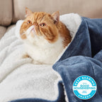 Bedsure Sherpa Fleece Throw Blanket Fluffy Microfiber Solid