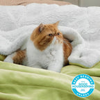 Bedsure Sherpa Fleece Throw Blanket Fluffy Microfiber Solid