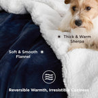 Bedsure Sherpa Fleece Throw Blanket Fluffy Microfiber Solid
