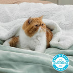 Bedsure Sherpa Fleece Throw Blanket Fluffy Microfiber Solid