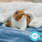 Bedsure Sherpa Fleece Throw Blanket Fluffy Microfiber Solid