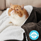 Bedsure Sherpa Fleece Throw Blanket Fluffy Microfiber Solid