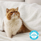 Bedsure Sherpa Fleece Throw Blanket Fluffy Microfiber Solid