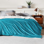 Bedsure Sherpa Fleece Throw Blanket Fluffy Microfiber Solid