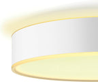 Being Ambiance Smart Ceiling with Dimmer Switch Included