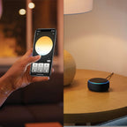 Being Ambiance Smart Ceiling with Dimmer Switch Included