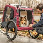 Bike Trailer for Dogs Foldable Size M
